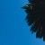 Los Angeles Celebrity Hypnotherapist